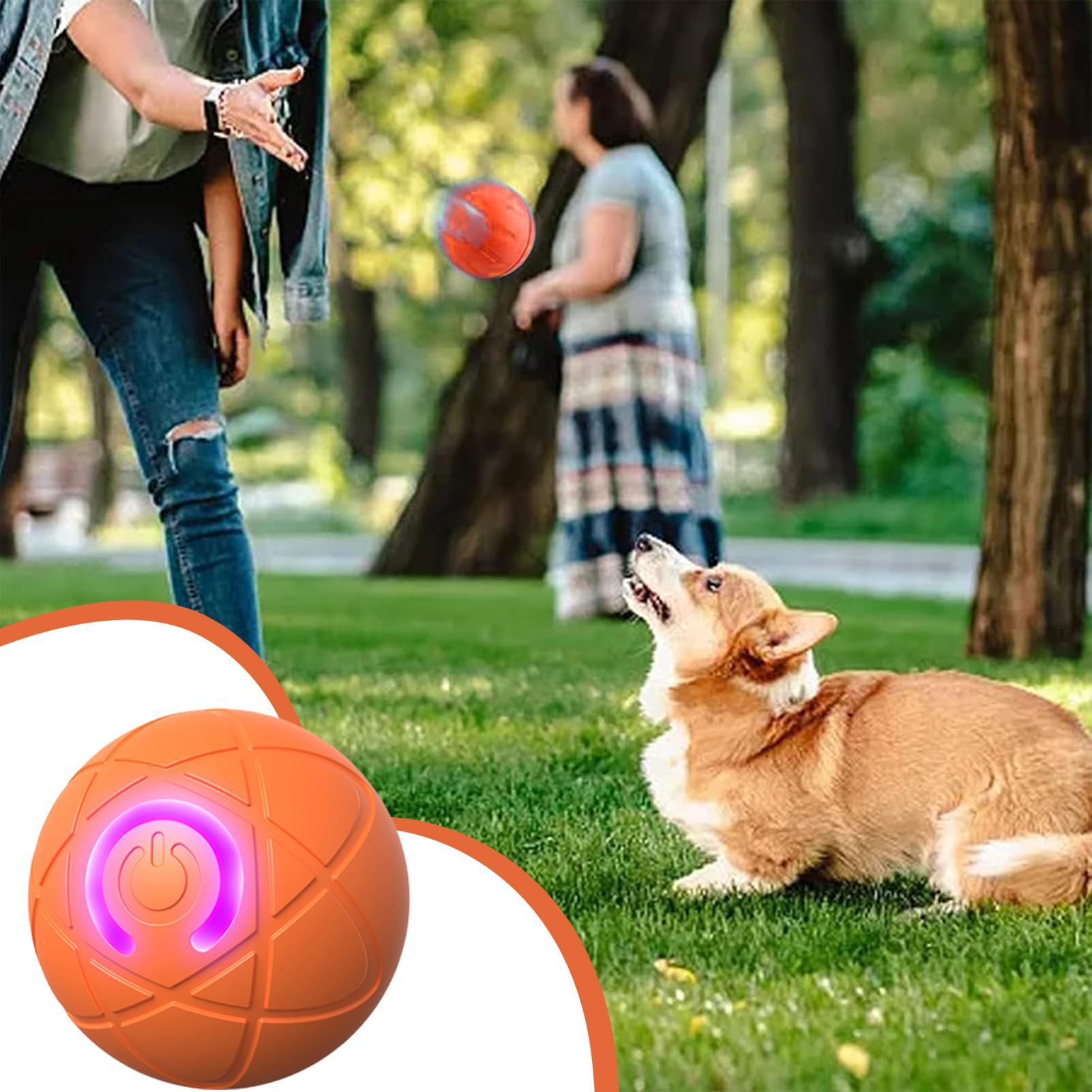 Automatic Moving Dog Ball - Juguetes interactivos inteligentes para perros para