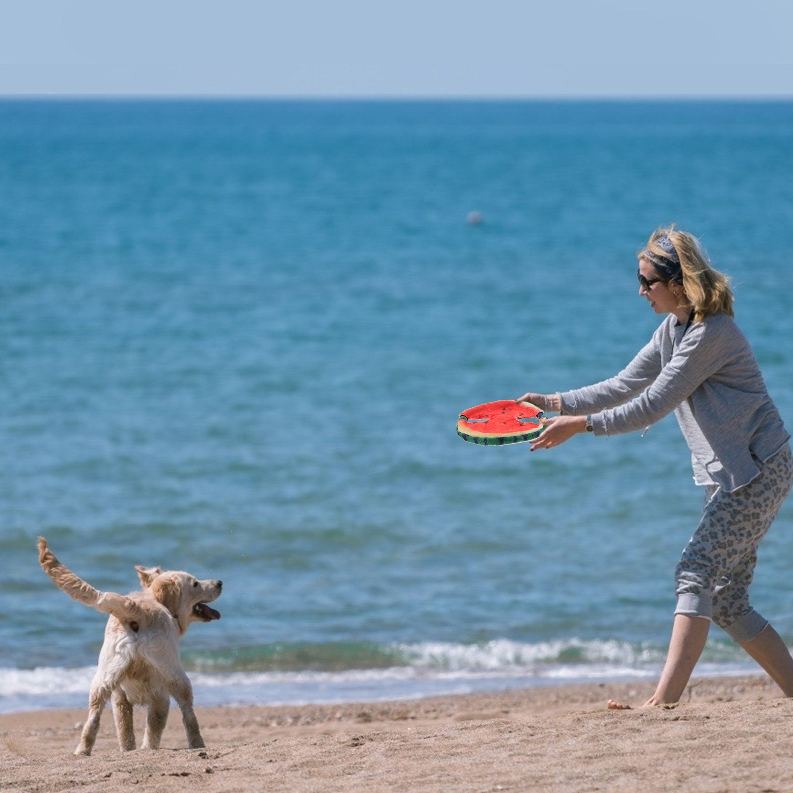 Flying Disc Dog Training Toy - Disco volador para perros con diseño