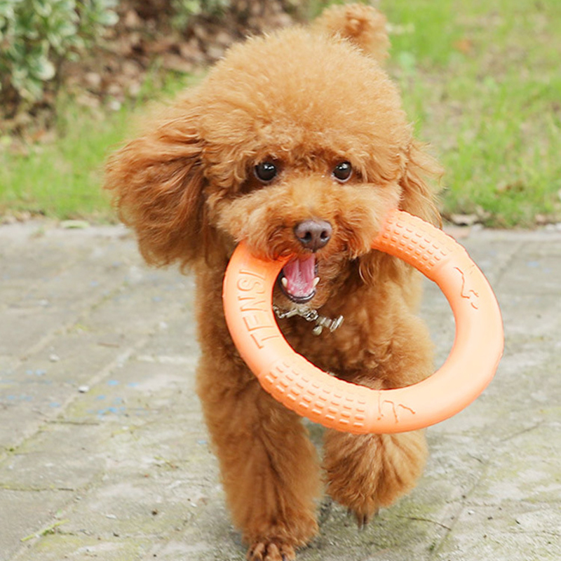 Tirador de anillo de entrenami - Indestructible Dog Chew Toy reseña y precio