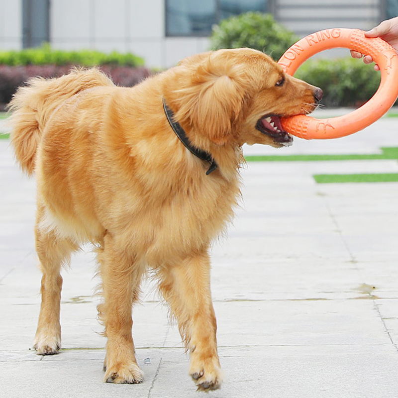 Tirador de anillo de entrenami - Indestructible Dog Chew Toy reseña y precio
