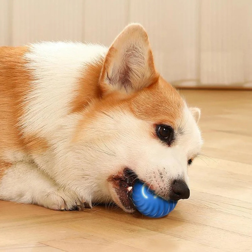 Nuevo 1 unidad de pelota de ju - Automatic Moving Dog Ball reseña y precio