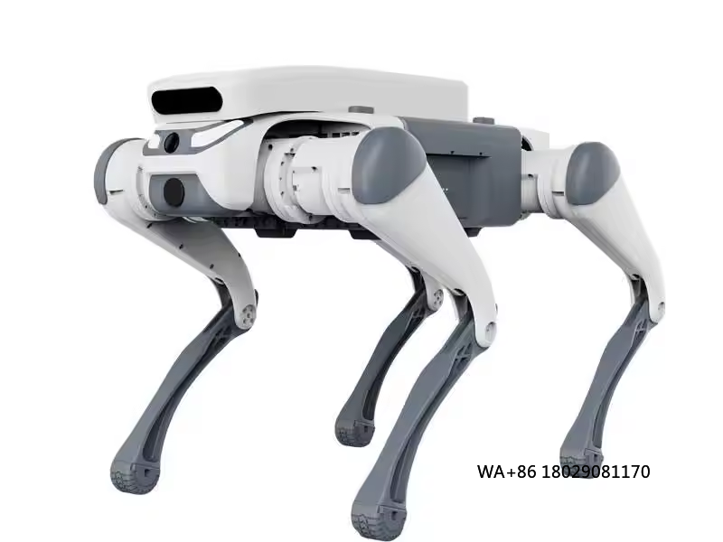 Juguete educativo con control  - Dog Toys reseña y precio