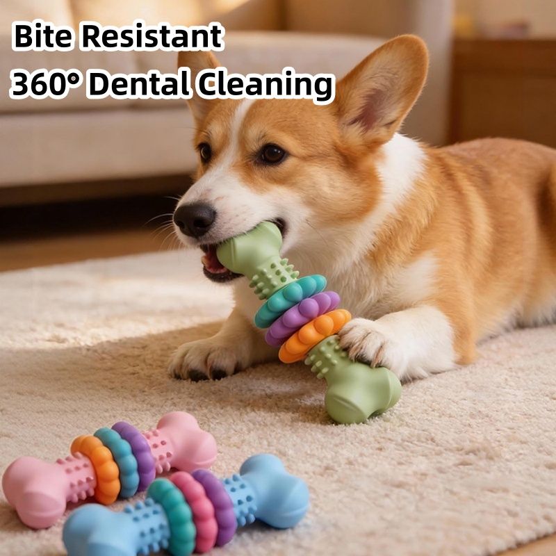 Juguete Masticable Duradero de - Teeth Cleaning Dog Chew Bone reseña y precio
