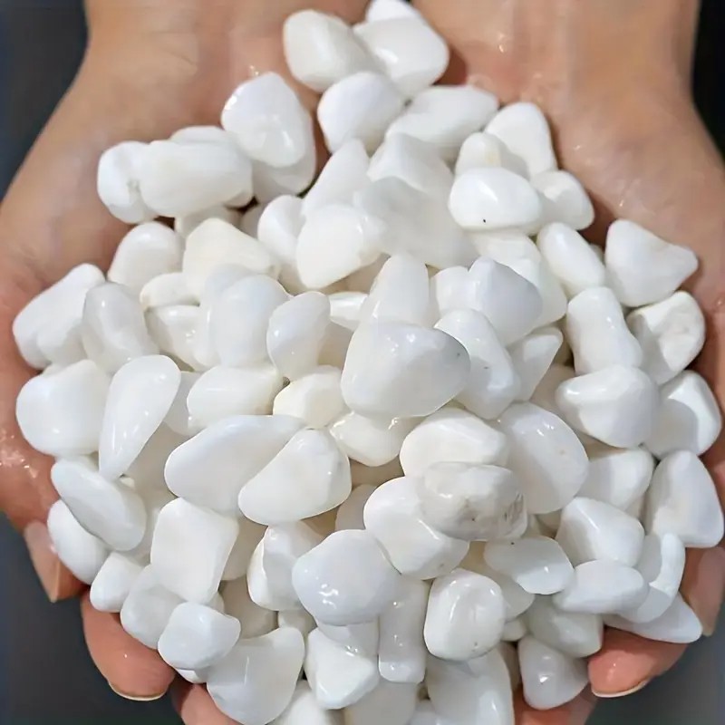 Perlite de alta calidad de 1L  - Pet Beds reseña y precio