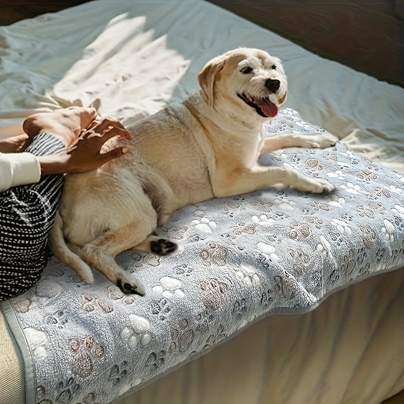Toalla Cómoda para Mascotas, S - Pet Beds reseña y precio