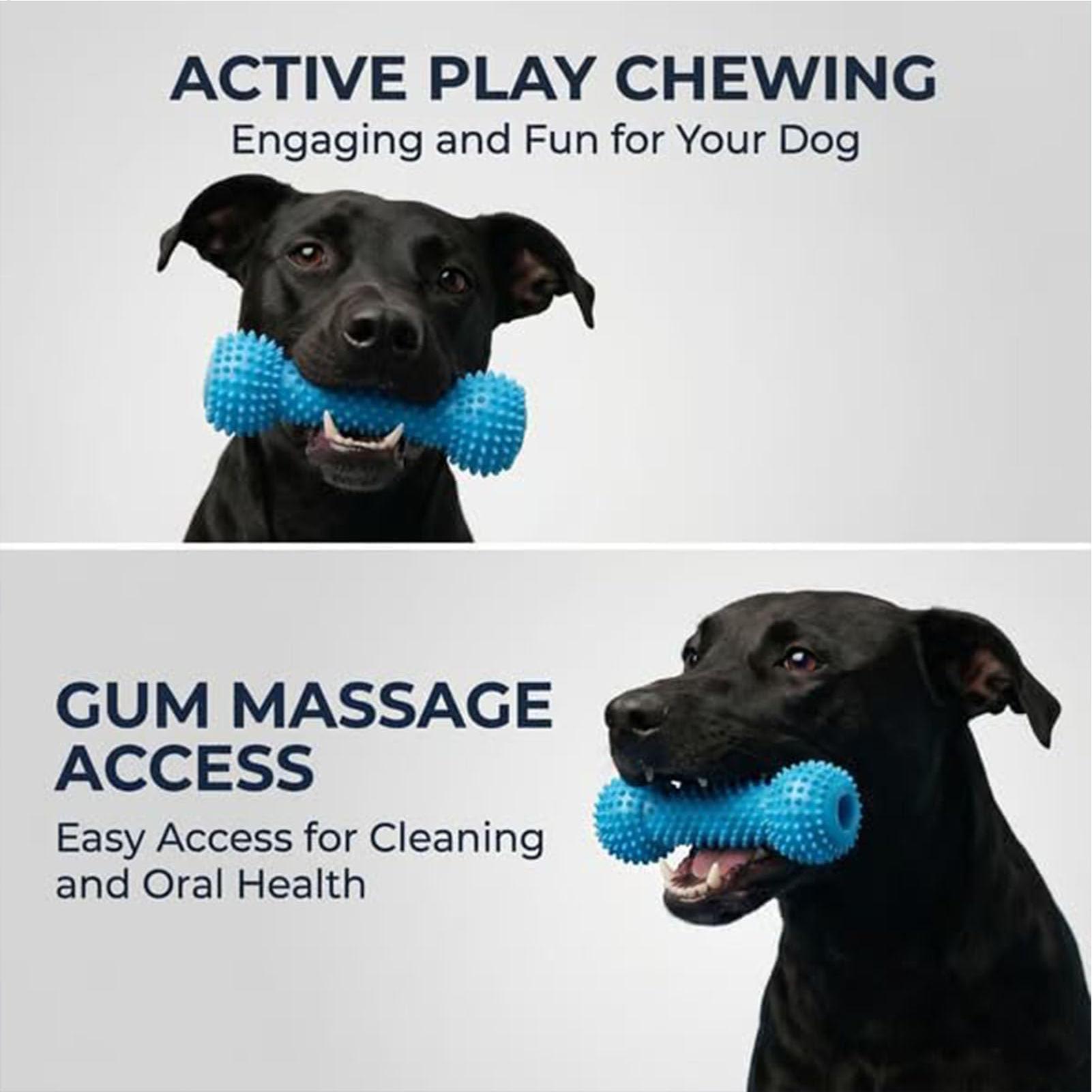 Juguetes para cepillar los die - Rubber Treat Dispensing Dog Toy reseña y precio