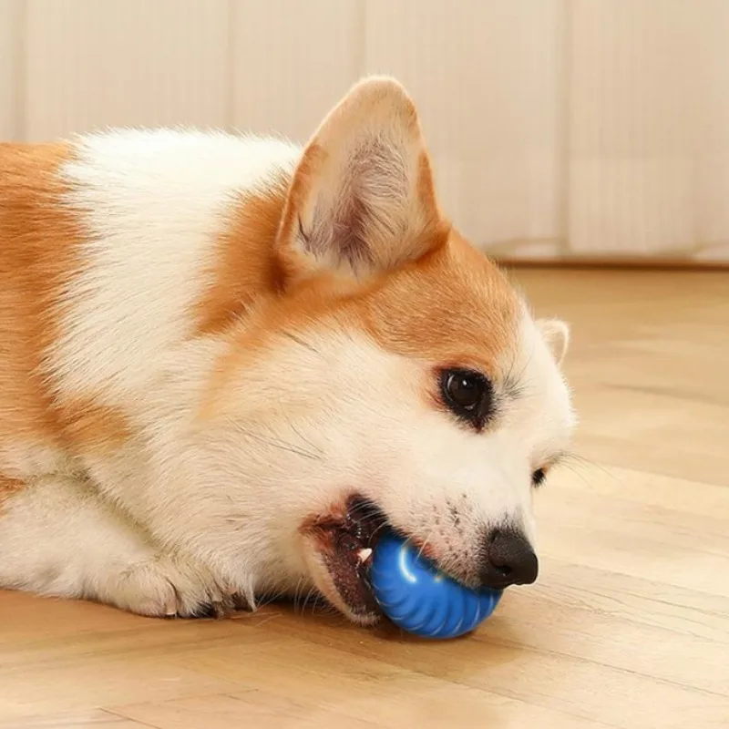 @1G-Bola de Juguete para Masco - Automatic Moving Dog Ball reseña y precio