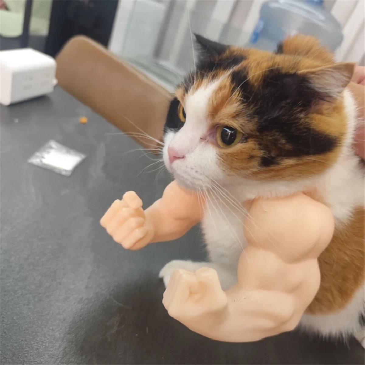 Nuevo colgante de brazo de gat - Cat Toys reseña y precio